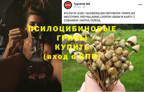 каннабис Бородино