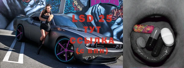 крисы Сосновый Бор