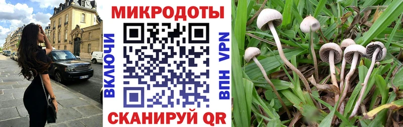 Галлюциногенные грибы прущие грибы  Ермолино 